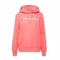 CHAMPION, Hooded Sweatshirt, DBR, XL