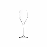 Stölzle Lausitz Champagnergläser Prestige 343 ml I 6 Stück I hochwertige Sektkelche 6er Set Kristallglas I Champagnerkelche spülmaschinenfest & bruchsicher I wie mundgeblasen