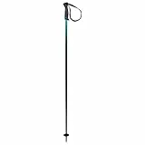 HEAD Unisex-Adult Frontside Black Speed blu Skistöcke, 105
