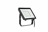 Philips ProjectLine Flutlicht, 50W, 4000K, schwarz