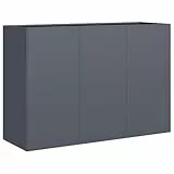 vidaXL Pflanzkübel Anthrazit 120x40x80 cm Kaltgewalzter Stahl, Pflanzschale, Garten-Garten-Pflanzkübel, Outdoor-Pflanzgefäß, Hochbeet, Pflanzgefäß