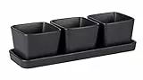 WENKO Snack & Dip Schalen Set, 4-teilig, 3 x 300 ml Schälchen mit Tablett, Für Tapas, Snacks & Fingerfood, Keramik, 30,5 x 10 x 8 cm, Schwarz