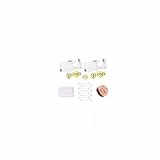 WillTen G23 Titan Piercing Stechen Set Gold, 2Pack Ohrring Pistole mit vorinstallierten 4mm Kugelsteckern, Ohrring Stechen für Ohrläppchen Ohrknorpel, Piercing Set mit Ohrmuschelüberzügen