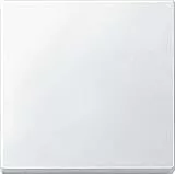 Schneider Electric Merten Wippe für Schalter, System M, polarweiss, Artikelnummer 434119