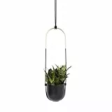 Umbra Bolo Blumenampel für Innen – Hängender Blumentopf für Anbringung an Wand und Decke, für Zimmerpflanzen, Sukkulenten, Luftpflanzen, Kakteen, Kunstpflanzen und Mehr, Keramik / Messing, Schwarz