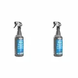 Clinex Glasreiniger Spray Nano Protect 1 Liter/ 1000 ml/Intensiv-Hochglanzreiniger für streifenfreien Glanz/Fensterreiniger/Glas und Spiegel Reiniger, streifenfreie Reinigungsformel (Packung mit 2)