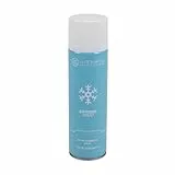 AG Automotive Scheibenenteiser Spray Sprühdose Scheibenentfroster 500ml