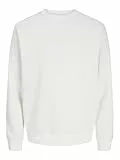 JACK & JONES JJEBRADLEY Sweat Crew NOOS
