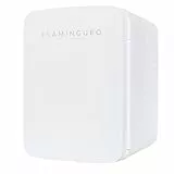 Flamingueo Mini Kühlschrank - Kühlschrank Klein 10L, 12V/220V, Mini Fridge, Skincare, Funktion Kühlen und Heizen, Kleine Kühlschränke, Small Fridge