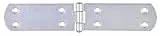 Alberts 315665 Kistenband | mit vernietetem Stift | galvanisch verzinkt, dickschichtpassiviert | 195 x 35 mm