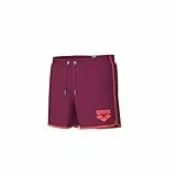 ARENA Herren Logo Borders Beach Shorts