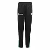 adidas Unisex Kinder Mercedes - AMG Petronas Formula ONE Team DNA Pant Youth, Black/White, 11-12 Years