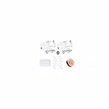 WillTen G23 Titan Piercing Stechen Set Silber, 2Pack Ohrring Pistole mit vorinstallierten 4mm Kugelsteckern, Ohrring Stechen für Ohrläppchen Ohrknorpel, Piercing Set mit Ohrmuschelüberzügen