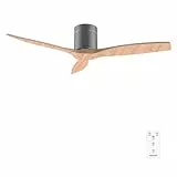 Cecotec Deckenventilator EnergySilence Aero 5400 Classic. 40W, 6 Geschwindigkeiten, Fernbedienung, leiser DC-Motor, 132cm Durchmesser, 3 aerodynamische Flügel, bis 8h Timer