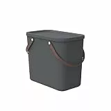 Rotho Albula Aufbewahrungsbox mit Deckel 25l | Praktische Box mit Henkel | sicher verschließbar | stapelbar & platzsparend | pflegeleicht | anthrazit