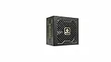 Enermax CYBERG II 750 Watt | Nicht-modulares ATX 3.1-Netzteil | PCIe 5.1 |80 Plus Gold |geräuscharmer 120mm SB-Lüfter | 105°C jap. Kondensatoren |ERV750G-AHG-NAC