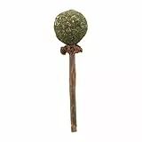 Trixie Katzensnack Matatabi Lolli - natürlicher Kau-Stick aus 100% Matatabi-Holz - für langanhaltende Beschäftigung, 10g - 42430