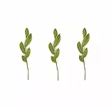 Gry & Sif Handgemacht & Fairtrade-Zertifiziert Stilvolles dänisches Design X Nepali Kunsthandwerker| Zweig mit gemischten grünen Blättern aus Filz | Grün | Set of 3