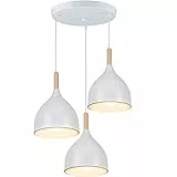 WOTTES Kronleuchter, E27häNgeleuchte, Moderner Stil Pendelleuchte, Verstellbare LäNge, Einfache Installation,Geeignet FüR Viele Dekorationsstile.
