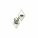 Umbra Trigg Wandvase & Geometrische Deko – Übertopf Für Zimmerpflanzen, Sukkulenten, Luftpflanzen, Kakteen, Kunstpflanzen und Mehr, 2er-Set, Klein, Weiss/Messing