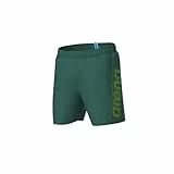 ARENA Herren Fundamentals Logo R Boxer Beach Shorts
