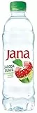 Jana Wasser - Erfrischungsgetränk mit Erdbeere & Guave Geschmack, EINWEG inkl. Pfand, (6 x 0,5l)