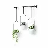 Umbra Triflora Vase, Hängeblumentopf, Wandvase, Blumenampel für Wand-und Deckenanbrinung, Melamin, Metall, 3 Töpfe, Weiss/Schwarz, 3er-Set
