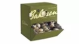 Bahlsen Mini Contessa, 1er Pack Thekendispenser, kleine Lebkuchen auf edelherber Schokolade, einzeln verpackt (1 x 1125 g)