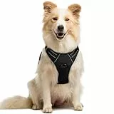 rabbitgoo Hundegeschirr Mittelgroße Hunde, Anti Zug Geschirr mit Kontrolle, No Pull Verstellbar Hundegeschirr Grosse Hunde, Atmungsaktiv Reflexstreifen Brustgeschirr Sichere Führung Schwarz M