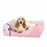 BedDog Hundebett Zara, Hundekissen mit Abziehbaren Waschbaren Bezug, Hundekorb, Hundesofa, für Kleine Hunde, M
