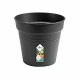 elho Green Basics Anzuchttopf 13 - Blumentopf für Züchten und Ernten - Ø 13.1 x H 12.0 cm - Schwarz/Living Schwarz
