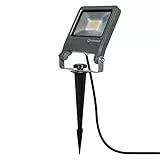 LEDVANCE LED Garten-Flutlicht, Leuchte für Außenanwendungen, Warmweiß, Endura Garden Flood Spike, Dunkelgrau