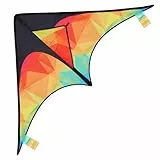 Aomig Kinder Drachen Einleiner Flugdrachen für Kinder und Erwachsene Gestreiftes Modell Lenkdrachen für Anfänger Drachen Kinder ab 3 Jahren Colorful Kinderdrachen with Long Tails Drachen (125 x 65cm)