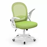 naspaluro Bürostuhl, Ergonomischer Schreibtischstuhl mit Atmungsaktiv Netzbespannung, Hochklappbare Armlehnen, Höhenverstellbarer, Computerstuhl, Leichter Stuhl, 360° Drehstuhl, Grün