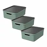Rotho Jive 3er-Set Aufbewahrungsbox 10l mit Deckel