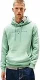 Tommy Jeans Herren Hoodie Linear Logo mit Kapuze, Grün (Cloudy Jade Multi), XXL