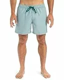 Quiksilver - Everyday Deluxe Volley 15' Boardshorts - Mann