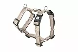 Max & Molly Hundegeschirr Matrix 2.0 Sand/XS in H-Form, für Hunde mit Gotcha! Smart ID, Geschirr Hund, Neopren Gepolstert & Reflektierende Nähte - Komfort für deinen treuen Begleiter