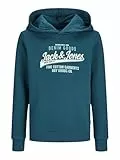 JACK&JONES JUNIOR JJELOGO Sweat Hood 2 COL 24/25 NOOS MNI