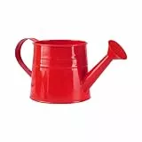 Gießkanne Klein Zimmerpflanzen 1L Kleine Gießkanne Metall Blumentopf Giesskanne Garten Balkon Watering Can Kieskanne Blumengießkanne Pflanzengießkanne Gartenwerkzeug