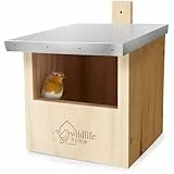 WILDLIFE HOME Vogel Nistkasten für Rotkehlchen, Zaunkönig & Halbhöhlenbrüter mit Metalldach I nach NABU aus verschraubtem Massiv-Holz I Wetterfest & Unbehandelt I Vogelhaus