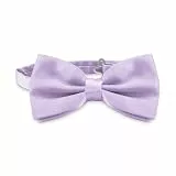 OcioDual Lavendel Fliege Herren, Herren Fliege Anzug, Einfach Herrenfliege mit verstellbarem Haken-Clip-Verschluss, 12 cm x 6 cm, Feiern, Partys, Arbeit, Hochzeiten und Events
