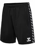 Hummel Authentic Pl Shorts L