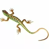 STOBOK Realistische Falsche Bunte Plastik Lizard Figur Echse Action Figuren Reptilien Echsenmodell für Halloween April Fools Day Prop (Grün)