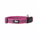 JULIUS K-9 225CG-PN Color & Gray Halsband, 25mm*39-65 cm, verstellbar, rosa-grau, 25 mm (39-65 cm)