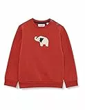 Sanetta Baby-Jungen rot Sweatshirt, red Spice, 56