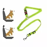 Lollanda Sicherheitsgurt Hund Auto, Hundegurt fürs Auto Sitze mit Reflektierenden Streifen und Pufferseilen, Verstellbarer Hundegurt für Große Mittlere und Kleine Hunde (Grün)