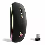 TQQ Wiederaufladbare kabellose Maus, 7 Farben Hintergrundbeleuchtete Maus mit 2,4 GHz Mini-USB-Empfänger, Gaming-Maus, kompatibel mit Laptop, PC, Mac, Computer, Chromebook, Notebook