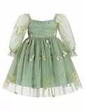 FYMNSI Blumenm�dchen Kleid Kinder M�dchen Prinzessin Geburtstag Partykleid T�t� T�llkleid Festliches Festkleid Langarm Blumen Stickerei Hochzeit Brautjungfer Abendkleider Ballkleid Gr�n 5-6 Jahre