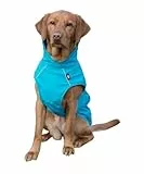TRIXIE Regenmantel Vimy für Hunde türkis XS - Bauchumfang: 24 - 41 cm – Hunde-Regenjacke mit reflektierenden Elementen für mehr Sichtbarkeit im Dunkeln – bequem & verstellbar - 680201